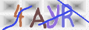 To prevent spam, please prove you are a real person by typing the characters you see in this box into the box below.