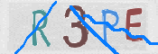 To prevent spam, please prove you are a real person by typing the characters you see in this box into the box below.