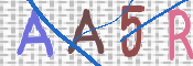 To prevent spam, please prove you are a real person by typing the characters you see in this box into the box below.