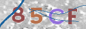 To prevent spam, please prove you are a real person by typing the characters you see in this box into the box below.