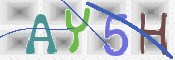 To prevent spam, please prove you are a real person by typing the characters you see in this box into the box below.