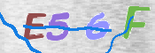 To prevent spam, please prove you are a real person by typing the characters you see in this box into the box below.