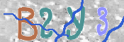 To prevent spam, please prove you are a real person by typing the characters you see in this box into the box below.
