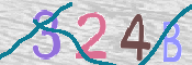 To prevent spam, please prove you are a real person by typing the characters you see in this box into the box below.