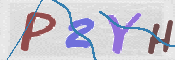 To prevent spam, please prove you are a real person by typing the characters you see in this box into the box below.