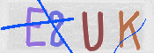 To prevent spam, please prove you are a real person by typing the characters you see in this box into the box below.