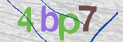 To prevent spam, please prove you are a real person by typing the characters you see in this box into the box below.
