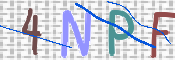 To prevent spam, please prove you are a real person by typing the characters you see in this box into the box below.
