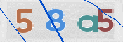 To prevent spam, please prove you are a real person by typing the characters you see in this box into the box below.