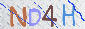 To prevent spam, please prove you are a real person by typing the characters you see in this box into the box below.