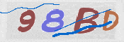 To prevent spam, please prove you are a real person by typing the characters you see in this box into the box below.