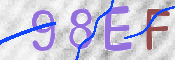 To prevent spam, please prove you are a real person by typing the characters you see in this box into the box below.