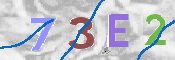 To prevent spam, please prove you are a real person by typing the characters you see in this box into the box below.