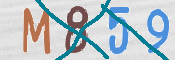 To prevent spam, please prove you are a real person by typing the characters you see in this box into the box below.