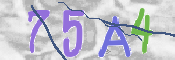 To prevent spam, please prove you are a real person by typing the characters you see in this box into the box below.
