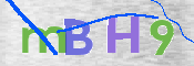 To prevent spam, please prove you are a real person by typing the characters you see in this box into the box below.