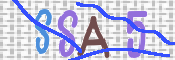 To prevent spam, please prove you are a real person by typing the characters you see in this box into the box below.