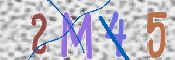 To prevent spam, please prove you are a real person by typing the characters you see in this box into the box below.