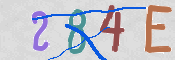 To prevent spam, please prove you are a real person by typing the characters you see in this box into the box below.