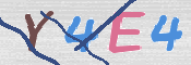 To prevent spam, please prove you are a real person by typing the characters you see in this box into the box below.