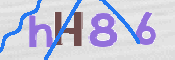 To prevent spam, please prove you are a real person by typing the characters you see in this box into the box below.