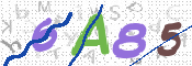 To prevent spam, please prove you are a real person by typing the characters you see in this box into the box below.