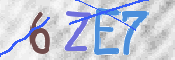 To prevent spam, please prove you are a real person by typing the characters you see in this box into the box below.
