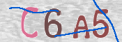 To prevent spam, please prove you are a real person by typing the characters you see in this box into the box below.