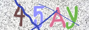 To prevent spam, please prove you are a real person by typing the characters you see in this box into the box below.