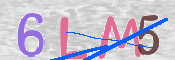 To prevent spam, please prove you are a real person by typing the characters you see in this box into the box below.