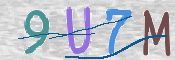 To prevent spam, please prove you are a real person by typing the characters you see in this box into the box below.