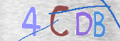To prevent spam, please prove you are a real person by typing the characters you see in this box into the box below.