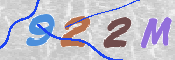 To prevent spam, please prove you are a real person by typing the characters you see in this box into the box below.