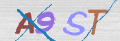 To prevent spam, please prove you are a real person by typing the characters you see in this box into the box below.