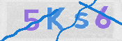 To prevent spam, please prove you are a real person by typing the characters you see in this box into the box below.