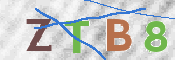 To prevent spam, please prove you are a real person by typing the characters you see in this box into the box below.