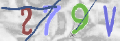 To prevent spam, please prove you are a real person by typing the characters you see in this box into the box below.