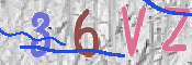 To prevent spam, please prove you are a real person by typing the characters you see in this box into the box below.