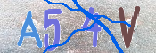 To prevent spam, please prove you are a real person by typing the characters you see in this box into the box below.