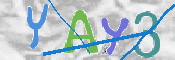 To prevent spam, please prove you are a real person by typing the characters you see in this box into the box below.