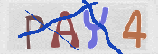 To prevent spam, please prove you are a real person by typing the characters you see in this box into the box below.