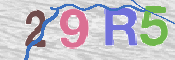 To prevent spam, please prove you are a real person by typing the characters you see in this box into the box below.