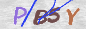To prevent spam, please prove you are a real person by typing the characters you see in this box into the box below.