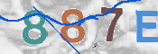 To prevent spam, please prove you are a real person by typing the characters you see in this box into the box below.