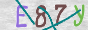 To prevent spam, please prove you are a real person by typing the characters you see in this box into the box below.