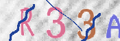 To prevent spam, please prove you are a real person by typing the characters you see in this box into the box below.
