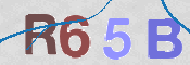 To prevent spam, please prove you are a real person by typing the characters you see in this box into the box below.