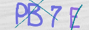 To prevent spam, please prove you are a real person by typing the characters you see in this box into the box below.