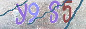 To prevent spam, please prove you are a real person by typing the characters you see in this box into the box below.