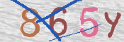To prevent spam, please prove you are a real person by typing the characters you see in this box into the box below.